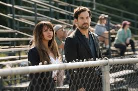 Image result for Wild Cards