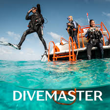 Image result for Divemaster Scuba