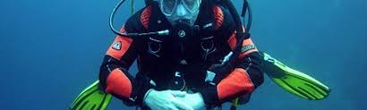 Image result for Seaham Sub Aqua Club