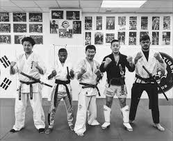 Image result for Tae-jitsu