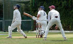 Image result for Bedworth Cricket Club