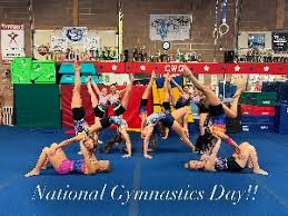 Image result for South Western Gymnastics Club