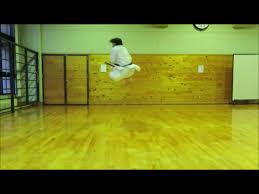 Image result for enpi dojo