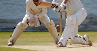 Image result for Esh Winning Cricket Club