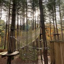 Image result for The Go Ape Experience (Delamere Forest)