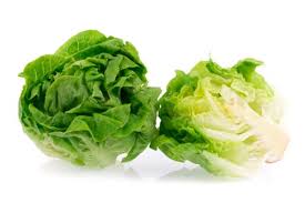 Image result for Kopfsalat