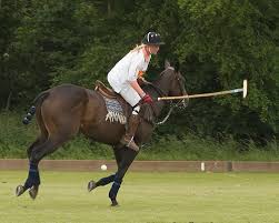 Image result for Woolmers Park Polo Club
