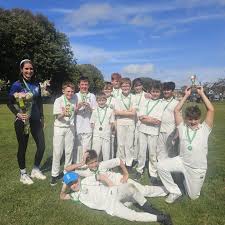 Image result for Southwick Wanderers