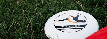 Image result for University Of Sussex Ultimate Frisbee Club