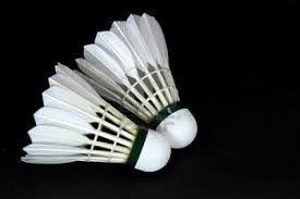 Image result for Larchfield Street Badminton Club