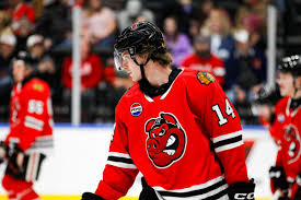 Image result for Woking Blackhawks