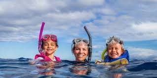 Image result for Looe Diving Club