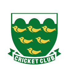 Image result for Three Bridges Cricket Club