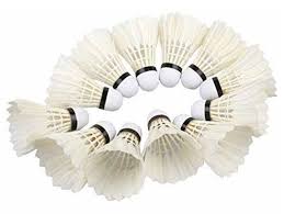 Image result for Settle Badminton Club