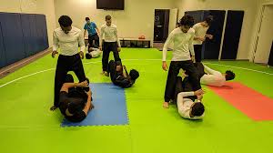 Image result for Silat Perisai Diri Classes Club