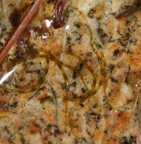 Attēlu rezultāti vaicājumam “Lemanea fluviatilis”