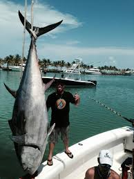 Image result for giant tuna