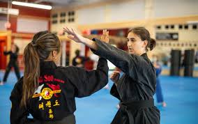 Image result for Dujon Tae Kwon Do