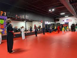 Image result for Norfolk Karate