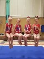 Image result for L&G Acrobatics