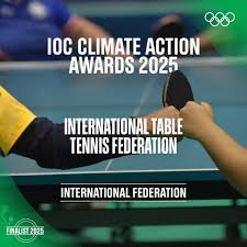 Image result for Generation 2 Table Tennis Club