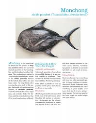 Image result for Eumegistus illustris