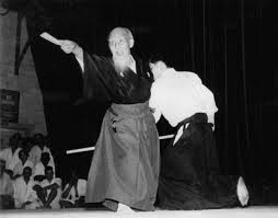 Image result for Aikido - Shobu UK (Newton in furness)