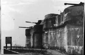 Image result for The Great War Experience, Essex