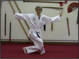 Image result for Ndm Martial Arts