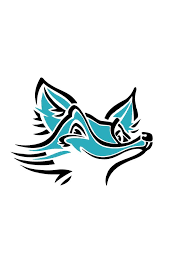 Image result for Foxes Netball Club