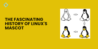 Image result for linux penguin