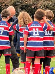 Image result for Watford Rugby Football Club