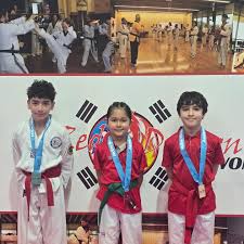 Image result for Red Dragon Taekwondo club