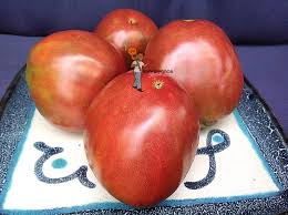 Afbeeldingsresultaat voor black oxheart tomato