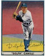 Dolph Camilli Baseball Stats by Baseball Almanac