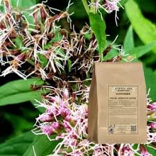 Attēlu rezultāti vaicājumam “Eupatorium cannabinum bud”