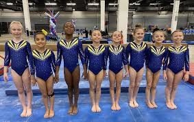 Image result for Redcar School Of Gymnastics
