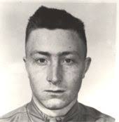 Image result for Gurke