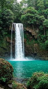 Image result for Cascada