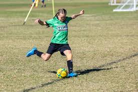 Image result for Warwick Wolves