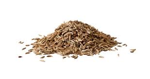 Attēlu rezultāti vaicājumam “Carum carvi”