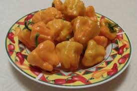 Afbeeldingsresultaat voor yellow mushroom hot pepper