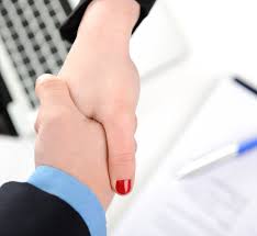 Image result for Reparudasu