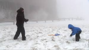 Image result for schnee