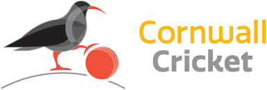 Image result for Ludgvan Cc