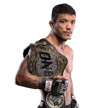 Image result for Silva L1 MidNite