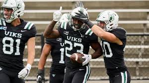 Image result for Hoyland Vikings Amateur Rugby League Football Club