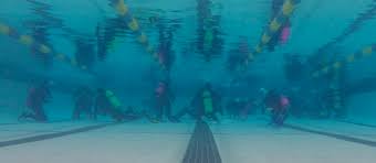 Image result for Inverness Octopush Club