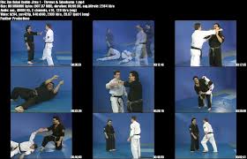 Image result for Horndean Zen Judo Club