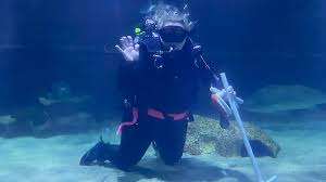 Image result for Cleveland Divers
